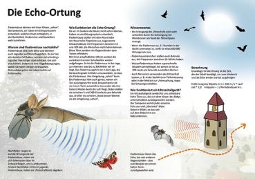 Bild- und Lehrtafel: Die Echo-Ortung